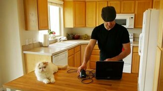 Хотите размножить своего кота? - смотреть видео (0:22)