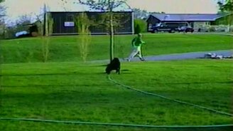 Пёс поливает хозяина из шланга - смотреть видео (0:30)