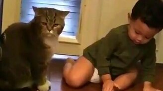 Навязчивый человеческий детёныш и кот - смотреть видео (0:36)