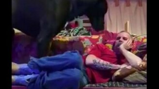 Пёс отдыхает на хозяине - смотреть видео (2:40)