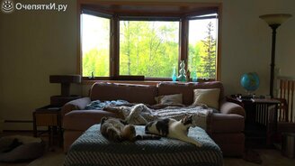 Странное мяуканье у кота - смотреть видео (0:43)