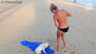 Приколы с пляжного отдыха - смотреть видео (5:06)