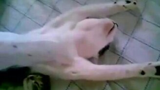 Два трупика на кровати - смотреть видео (0:34)