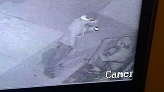 Драка, которая окончилась дружбой - смотреть видео (1:02)