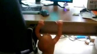 Богатырь растёт! - смотреть видео (1:08)