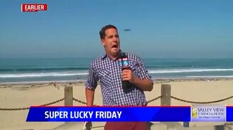 Журналист против жука - смотреть видео (0:19)