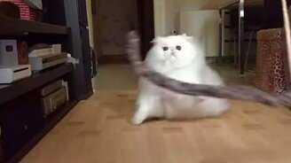 Белоснежное игривое облако - смотреть видео (1:12)