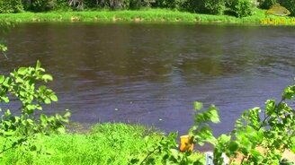 Что подсказывает рябь на воде - смотреть видео (1:39)