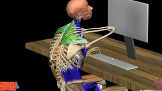 Почему болит спина? - смотреть видео (1:31)