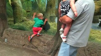 Мальчик играет в прятки с обезьянкой - смотреть видео (1:04)