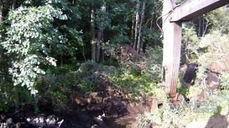 Экскаваторщик спас лосиху - смотреть видео (2:38)