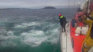 Киты знакомятся с русскими яхтсменами - смотреть видео (0:28)