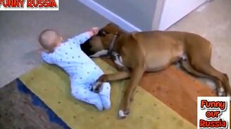 Весёлости с детишками и зверушками - смотреть видео (12:58)