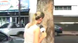 Насекомые нападают на человека - смотреть видео (5:35)