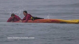 Кит потопил байдарку - смотреть видео (1:14)