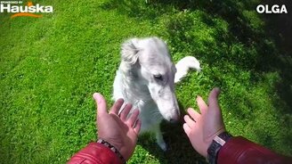 О, еда исчезла! - смотреть видео (2:12)