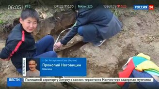 Огородник откопал бивни мамонта - смотреть видео (1:13)