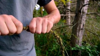 Плетём верёвку из травы - смотреть видео (2:41)