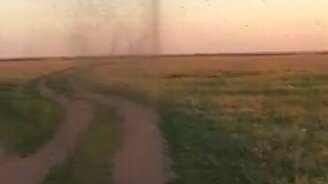 Рои мошек в степи - смотреть видео (1:16)