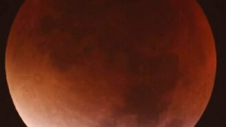 Как выглядит лунное затмение - смотреть видео (0:21)