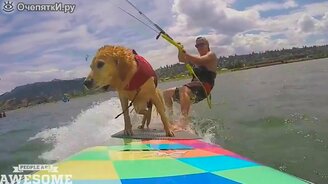 Победные трюки экстремалов - смотреть видео (2:15)