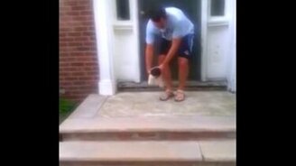 Когда не умеешь спускаться по ступенькам - смотреть видео (0:22)