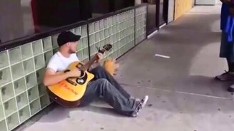 Встретились несколько меломанов - смотреть видео (3:45)