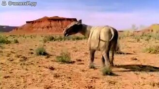 Десятка зверей-гигантов, живших на Земле - смотреть видео (4:25)