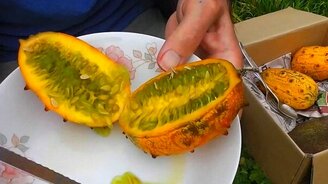 Десятка редких экзотических фруктов - смотреть видео (4:50)