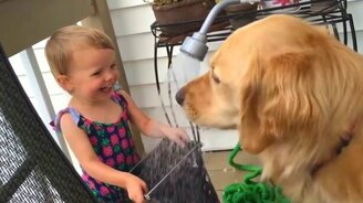 Десять умнейших собак - смотреть видео (8:33)