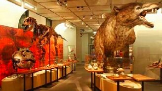 Как хорошо, что они вымерли! - смотреть видео (9:18)