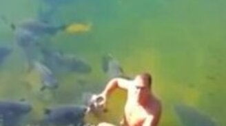 Кормилец карпов - смотреть видео (0:44)