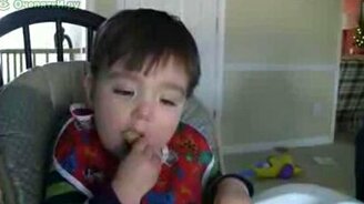 Ест и засыпает - смотреть видео (1:21)