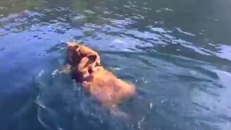 Мама вместо судна - смотреть видео (0:45)