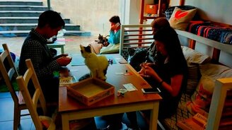 Котейная для людей - смотреть видео (4:06)