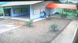 Самый невнимательный воришка - смотреть видео (0:39)