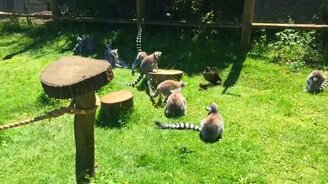 Чем чревата наглость - смотреть видео (0:53)