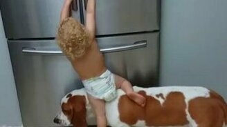 Как забраться в холодильник - смотреть видео (0:37)