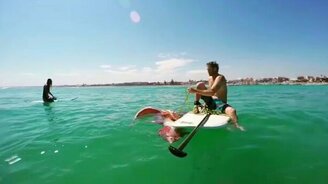 Сёрфер против кальмара - смотреть видео (0:55)