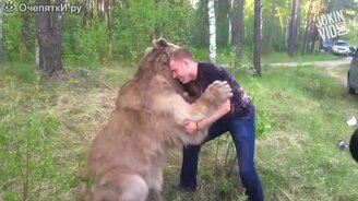 Смешные медведи - смотреть видео (5:07)