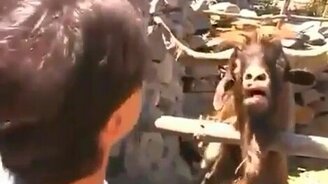 Когда жена тебя не понимает - смотреть видео (0:10)