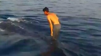 Оседлал акулу - смотреть видео (1:00)