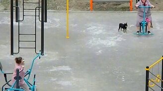 Спортивные бабушки - смотреть видео (1:14)