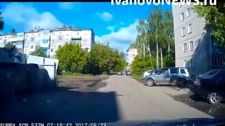 Лось в жилом дворе? - смотреть видео (0:16)