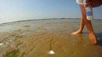 Ловим моллюска на соль - смотреть видео (0:29)