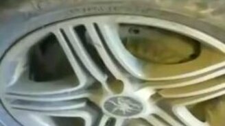 Кукарекающее колесо - смотреть видео (0:22)