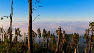 Чудесная красота природы - смотреть видео (3:27)