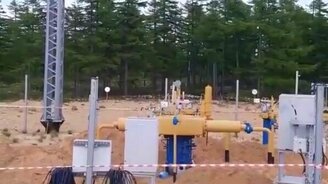 Как прогнать медведицу прочь - смотреть видео (0:42)