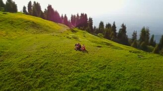 Лови счастливый момент! - смотреть видео (1:00)