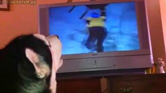 Скучают по воле - смотреть видео (1:20)